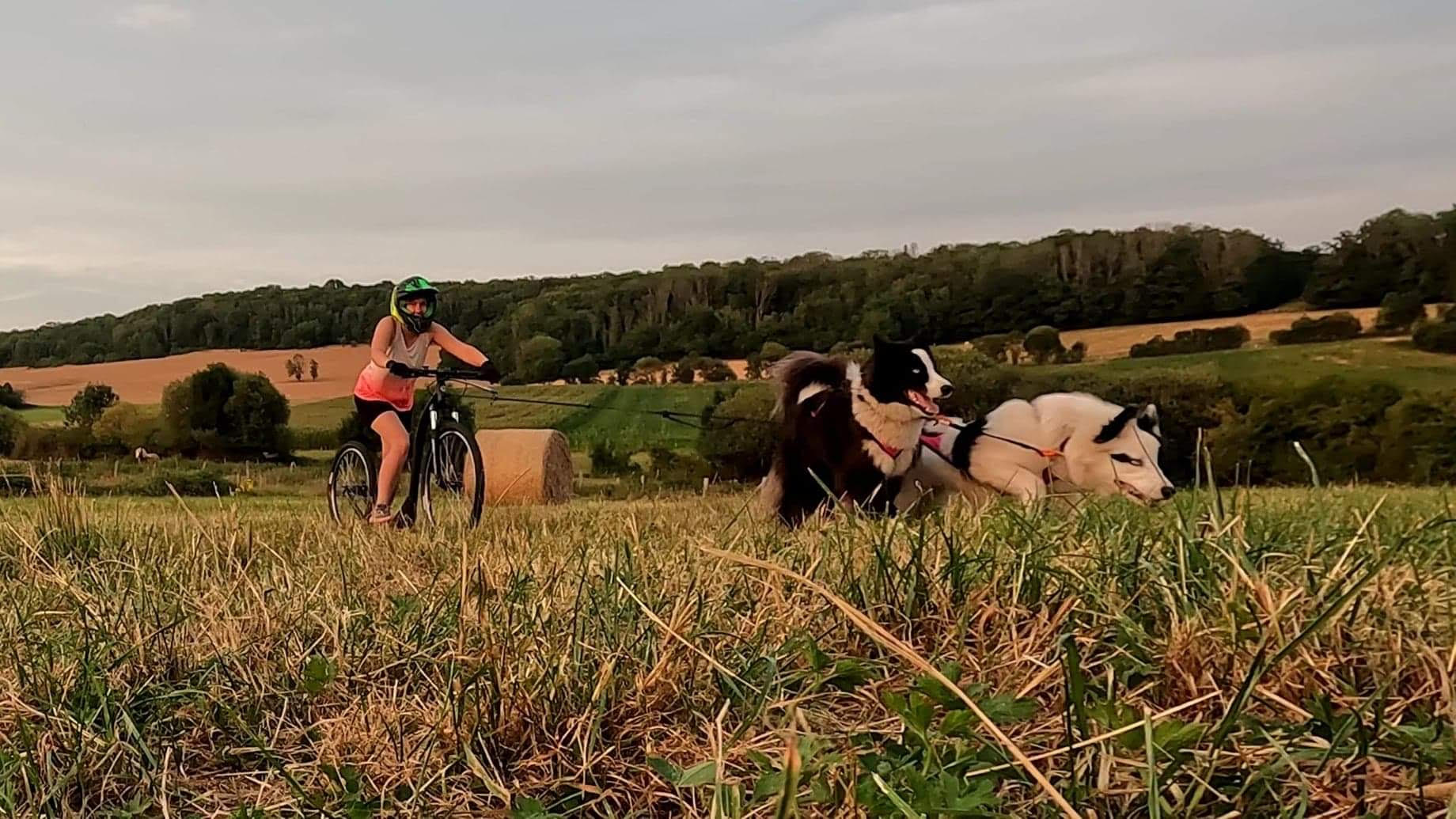 Activités Sportives