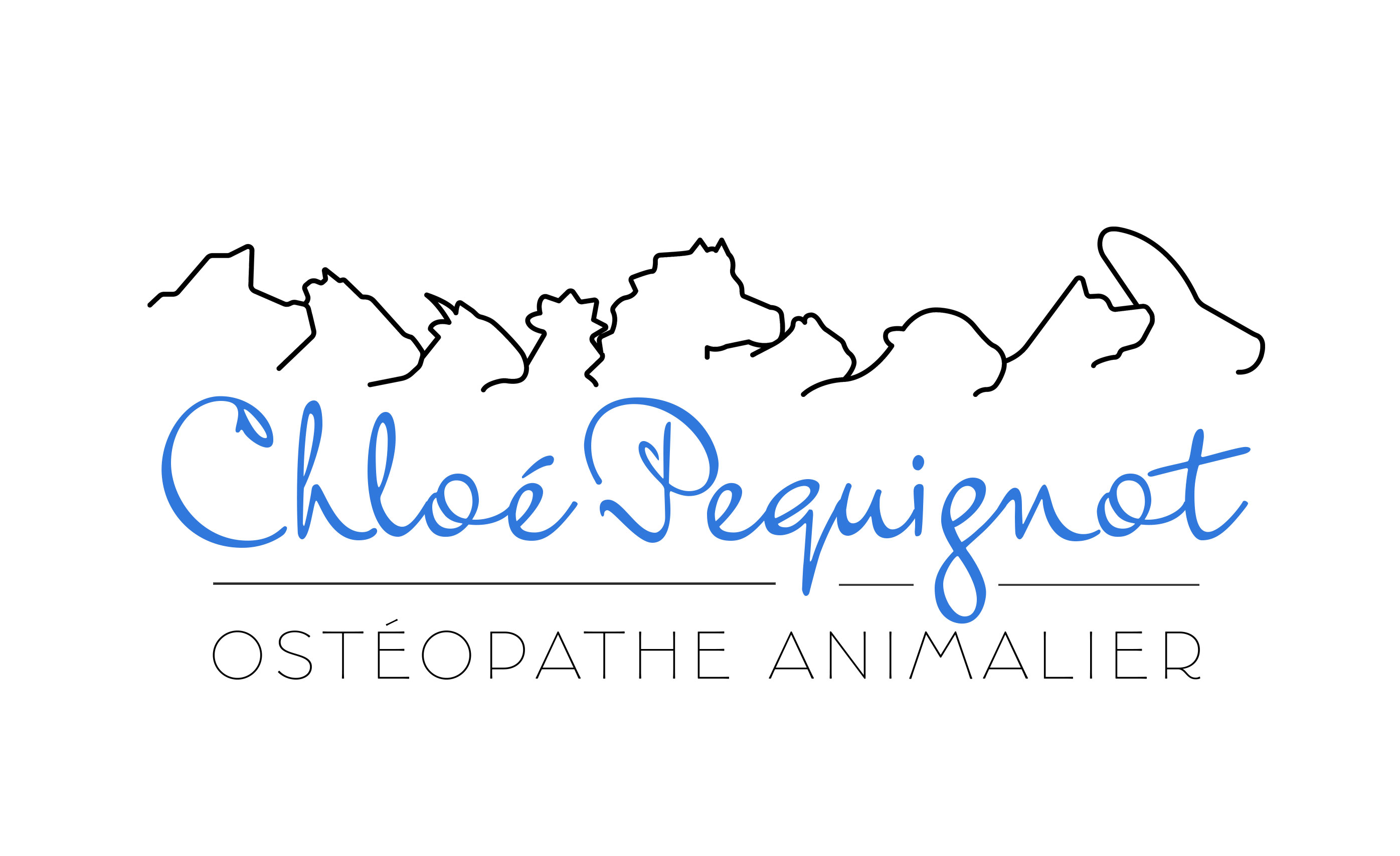 Chloé Pequignot | OA 1176 | Ostéopathe animalière